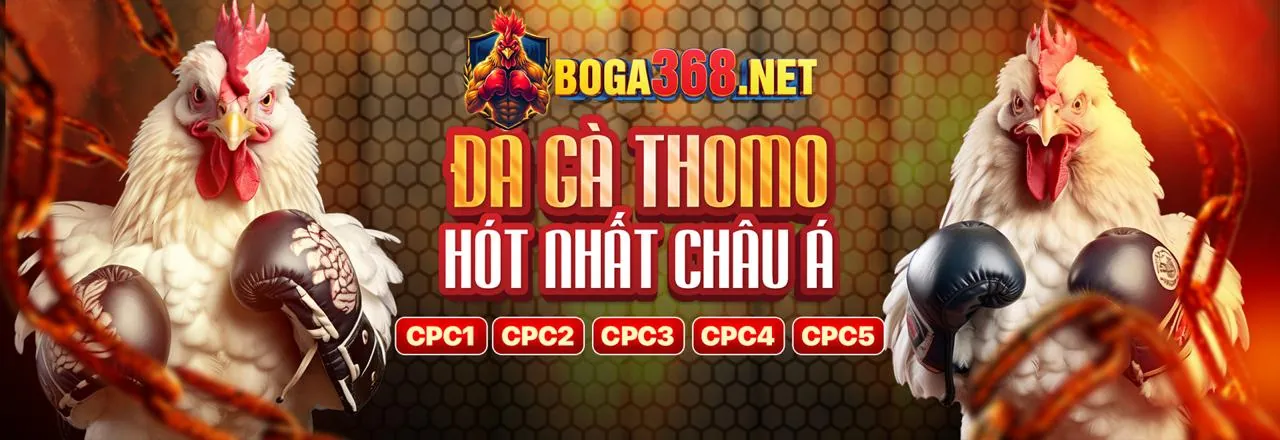 Hướng dẫn từng bước cá cược tại yg88 win